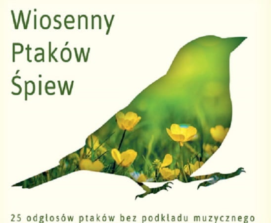 wiosenny-ptakow-spiew-ptasi-sp_1604.jpg