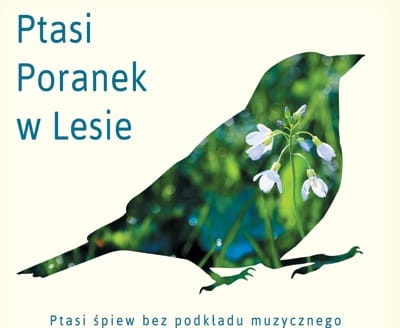Ptasi poranek w lecie CD