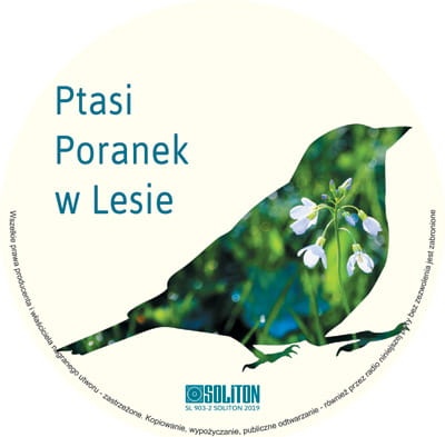 ptasi-poranek-w-lesie-ptasi-sp_1603.jpg