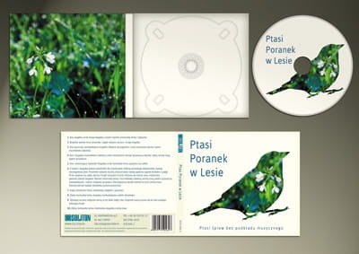 ptasi-poranek-w-lesie-ptasi-sp_1608.jpg