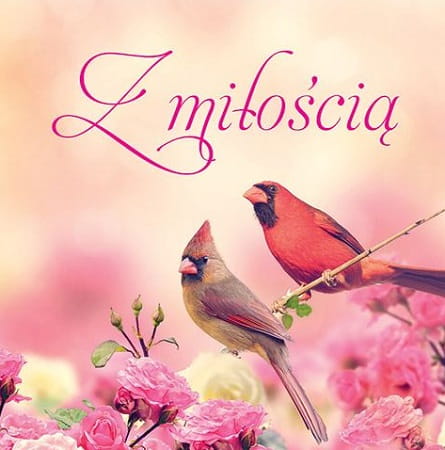 floral_z_miloscia.jpg