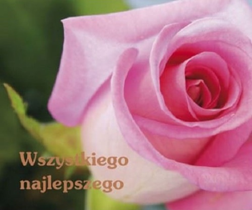 PERELKA_WSZYSTKIEGO_NAJLEPSZEGO.jpg