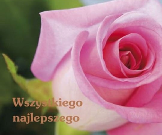 PERELKA_WSZYSTKIEGO_NAJLEPSZEGO.jpg