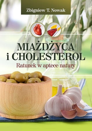 Ksiazka MIAZDZYCA I CHOLESTEROL (okladka)nowa.jpg