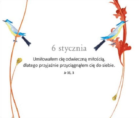B-DLA-KOBIET2.jpg