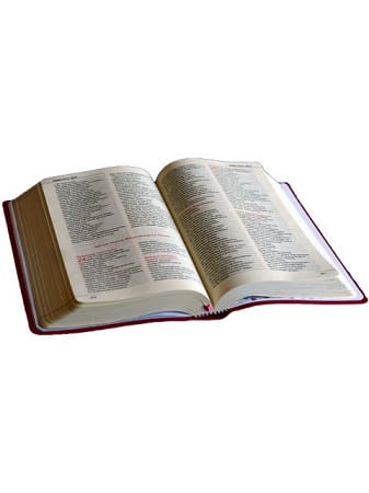biblia_dla_kobiet_1.jpg