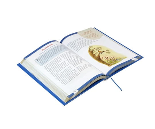 Moja-wielka-ksiega-historii-biblijnych-49.jpg