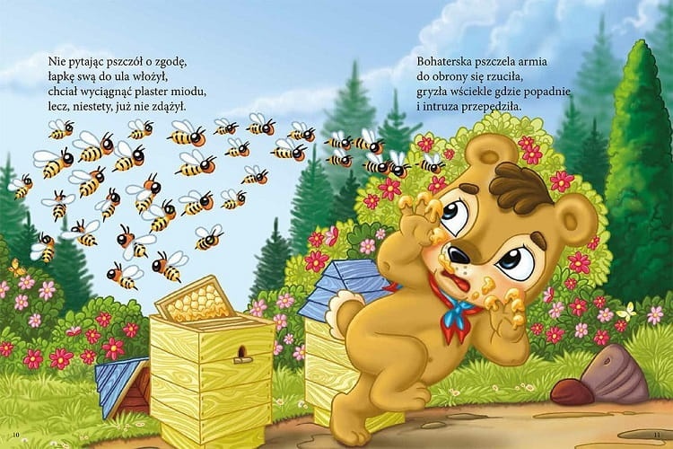 niedzwiadek-marceli-opr-miekka2.jpg