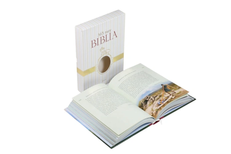 365 razy BIBLIA pudło do wizualu_1.jpg