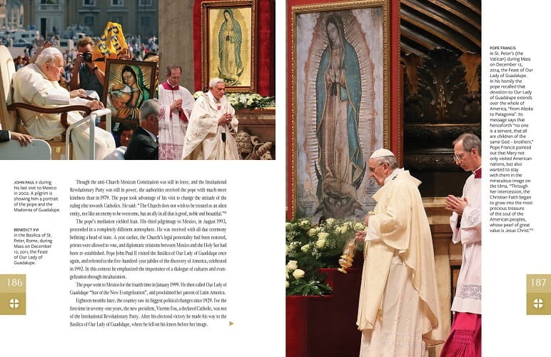 pol_pl_Sekrety-Guadalupe-136_8.jpg