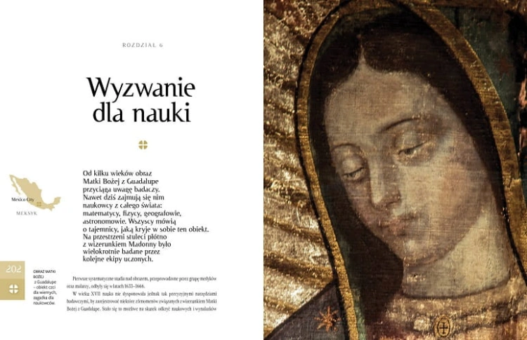pol_pl_Sekrety-Guadalupe-136_11.jpg