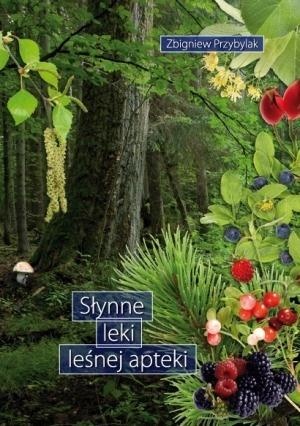 d7-slynne-leki-lesnej-apteki.jpg