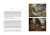 860;_kobiety-w-pismie-swietym8.jpg