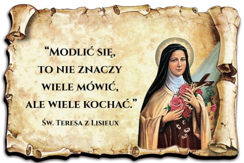 MAGNES SW TERESA.jpg