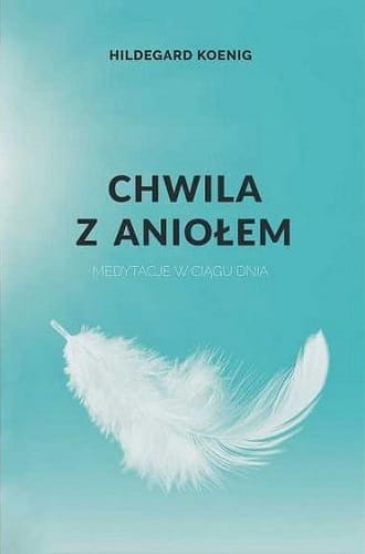 b934c59-przerwa-z-aniolem-me.jpg