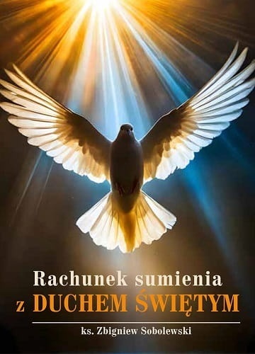 Rachunek-sumienia-z-Duchem-Swietym.jpg