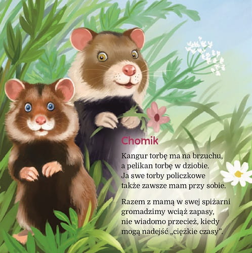 chomik.jpg