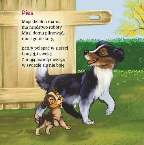 pies.jpg