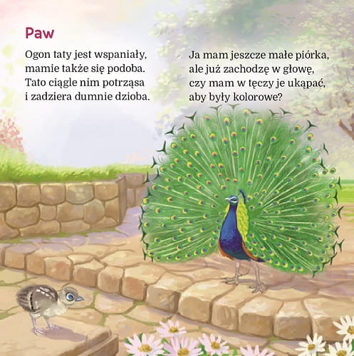 paw12.jpg