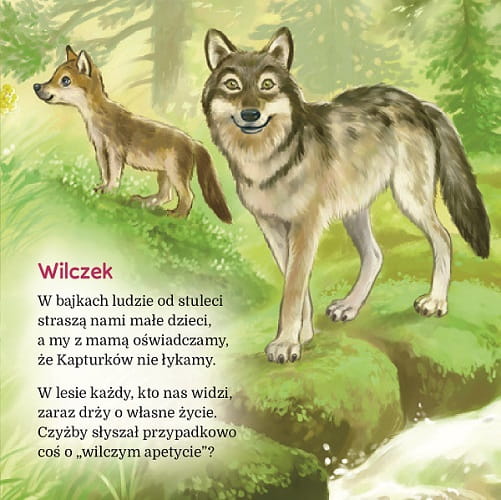 wilk.jpg