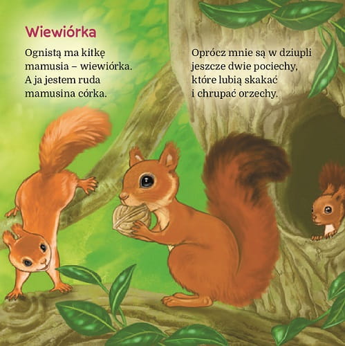 wiewiórka0.jpeg