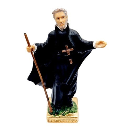 SW ANDRZEJ BOBOLA.jpg