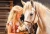 105205-2.webp.webp