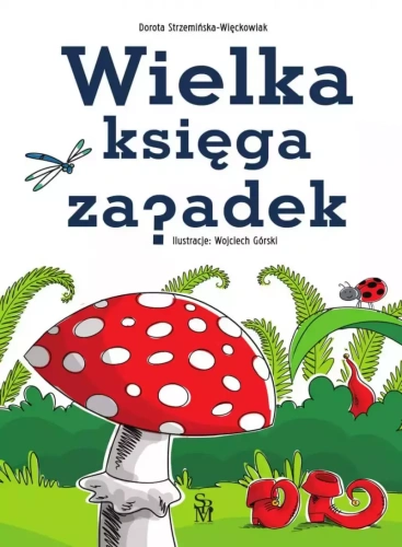 375c3fb-wielka-ksiega-zagade_800.webp