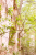 be7c43-sladami-pana-tadeusza.png