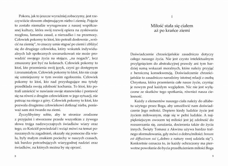 Gdzie niebo spotyka się z ziemia str 8-9.jpg