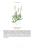 Purana2025_Ziola-z-Bozego-ogrodu_DEMO-042.webp
