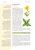 Purana_2024_Moje_ziola_lecznicze_DEMO-0301-3.webp