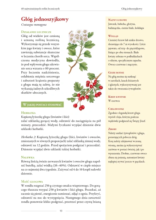 Purana_2024_Moje_ziola_lecznicze_DEMO-0531-3.webp