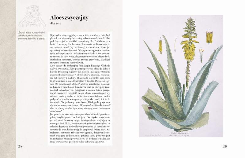 Ilustrowany zielnik Hildegardy z Bingen str 28-29.jpg