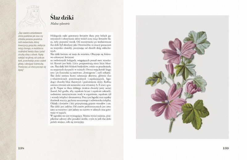 Ilustrowany zielnik Hildegardy z Bingen str 138-139.jpg
