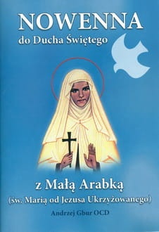 Nowenna do Ducha Świętego 