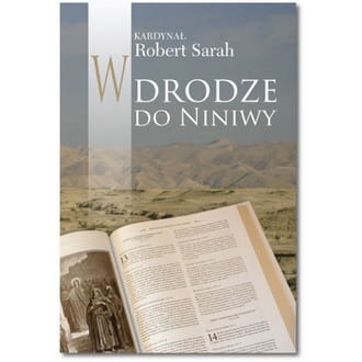 w-drodze-do-niniwy małe.jpg